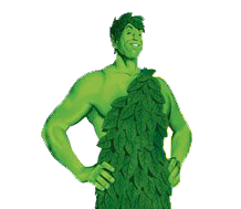 geant vert