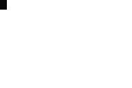 ion.gif